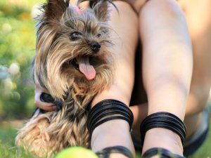 Nach einer Entwachsung im Wellness Point brauchen Sie Ihre Beine nicht zu verstecken - auch nicht hinter einem süßen Hund.